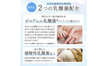 ルミエル&nbsp;葉酸+鉄&nbsp;with&nbsp;乳酸菌&nbsp;2袋&nbsp;サプリメント&nbsp;妊婦&nbsp;妊娠&nbsp;妊活期の葉酸補給