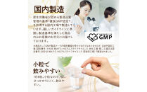 菊芋サプリメント&nbsp;菊芋生活&nbsp;6袋&nbsp;国産&nbsp;イヌリン&nbsp;食物繊維&nbsp;サラシア&nbsp;難消化性デキストリン