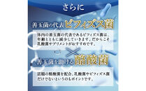 乳酸菌サプリメント&nbsp;3袋&nbsp;ナノ型乳酸菌10兆個&ビフィズス菌配合&nbsp;乳酸菌プレミアム