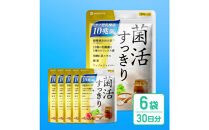 乳酸菌サプリメント&nbsp;6袋&nbsp;ナノ型乳酸菌10兆個&ビフィズス菌配合&nbsp;乳酸菌プレミアム