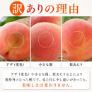 ［2027年発送］［ご家庭用訳あり］紀州和歌山産の桃&nbsp;約1.8kg［UT153］