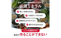 ミネラルベース&nbsp;鉄&nbsp;サプリ&nbsp;リポソーム&nbsp;ミネラル&nbsp;栄養機能食品&nbsp;鉄分&nbsp;ビタミンC&nbsp;クエン酸&nbsp;葉酸&nbsp;サプリメント&nbsp;2袋