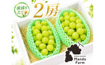 静岡産&nbsp;高糖度シャインマスカット&nbsp;2房（約1kg）【配送不可地域：北海道・沖縄県・一部離島】