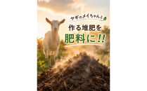 静岡産&nbsp;高糖度シャインマスカット&nbsp;3房（約1.5kg）【配送不可地域：北海道・沖縄県・一部離島】