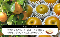 【2027年8月下旬以降より発送】旬の梨おまかせ約5kg・6-14玉（自家製有機肥料・減農薬・化学肥料無使用）