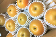 【2027年8月下旬以降より発送】旬の梨おまかせ約5kg・6-14玉（自家製有機肥料・減農薬・化学肥料無使用）