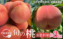 【2027年8月中旬以降より発送】旬の桃おまかせ約3kg・5～8玉（自家製有機肥料・減農薬・化学肥料無使用）