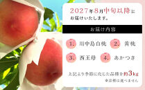 【2027年8月中旬以降より発送】旬の桃おまかせ約3kg・5～8玉（自家製有機肥料・減農薬・化学肥料無使用）