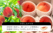 【2027年8月中旬以降より発送】旬の桃おまかせ約3kg・5～8玉（自家製有機肥料・減農薬・化学肥料無使用）