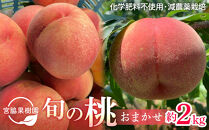 【2027年8月中旬以降より発送】旬の桃おまかせ約2kg・6～9玉（自家製有機肥料・減農薬・化学肥料無使用）&nbsp;川中島白桃&nbsp;黄桃&nbsp;西王母&nbsp;あかつき