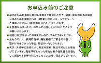 【2027年8月中旬以降より発送】旬の桃おまかせ約2kg・6～9玉（自家製有機肥料・減農薬・化学肥料無使用）&nbsp;川中島白桃&nbsp;黄桃&nbsp;西王母&nbsp;あかつき
