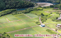 熊野紅はるか「芋平けんぴ」食べ比べセット