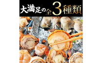 シーフードミックス&nbsp;大粒&nbsp;むき身&nbsp;3種20品&nbsp;帆立&nbsp;むきエビ&nbsp;牡蠣&nbsp;海鮮&nbsp;BBQセット