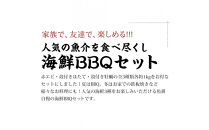 海鮮&nbsp;バーベキュー&nbsp;セット&nbsp;殻付き&nbsp;ほたて&nbsp;赤エビ&nbsp;牡蠣&nbsp;3種&nbsp;合計約3kg&nbsp;BBQセット