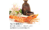 海鮮&nbsp;バーベキュー&nbsp;セット&nbsp;殻付き&nbsp;ほたて&nbsp;赤エビ&nbsp;2種20品&nbsp;BBQセット