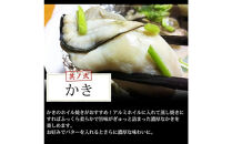 海鮮&nbsp;バーベキュー&nbsp;セット&nbsp;帆立&nbsp;いか&nbsp;エビ&nbsp;牡蠣&nbsp;4種20品&nbsp;BBQセット