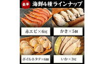 海鮮&nbsp;バーベキュー&nbsp;セット&nbsp;帆立&nbsp;いか&nbsp;エビ&nbsp;牡蠣&nbsp;4種20品&nbsp;BBQセット