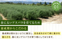 【先行予約】【訳あり】露地物朝採りアスパラ&nbsp;1kg（500g×2）鮮度保持フィルム入り(2027年5月中旬発送開始予定)&nbsp;【&nbsp;アスパラ&nbsp;アスパラガス&nbsp;朝採り&nbsp;とれたて&nbsp;野菜&nbsp;旬&nbsp;小分け&nbsp;保存&nbsp;産直&nbsp;産地直送&nbsp;お取り寄せ&nbsp;旭川市&nbsp;北海道&nbsp;】_06553