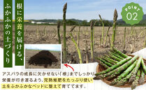 【先行予約】【訳あり】露地物朝採りアスパラ&nbsp;1kg（500g×2）鮮度保持フィルム入り(2027年5月中旬発送開始予定)&nbsp;【&nbsp;アスパラ&nbsp;アスパラガス&nbsp;朝採り&nbsp;とれたて&nbsp;野菜&nbsp;旬&nbsp;小分け&nbsp;保存&nbsp;産直&nbsp;産地直送&nbsp;お取り寄せ&nbsp;旭川市&nbsp;北海道&nbsp;】_06553