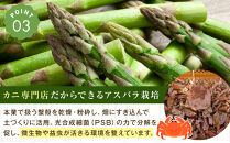 【先行予約】【訳あり】露地物朝採りアスパラ&nbsp;1kg（500g×2）鮮度保持フィルム入り(2027年5月中旬発送開始予定)&nbsp;【&nbsp;アスパラ&nbsp;アスパラガス&nbsp;朝採り&nbsp;とれたて&nbsp;野菜&nbsp;旬&nbsp;小分け&nbsp;保存&nbsp;産直&nbsp;産地直送&nbsp;お取り寄せ&nbsp;旭川市&nbsp;北海道&nbsp;】_06553
