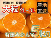 ［先行予約］和歌山県産&nbsp;有田みかん&nbsp;大玉&nbsp;大粒&nbsp;5kg&nbsp;2L～3L