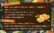 ［先行予約］和歌山県産&nbsp;有田みかん&nbsp;大玉&nbsp;大粒&nbsp;5kg&nbsp;2L～3L