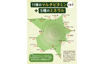プロテイン&nbsp;タンパクメイト&nbsp;宇治玉露抹茶味&nbsp;1袋&nbsp;TAMPAKU&nbsp;MATE&nbsp;ホエイ&ソイのWプロテイン&nbsp;置き換えダイエット&nbsp;コラーゲン&nbsp;1食あたり1000mg配合