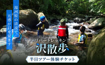 リバートレッキング「沢散歩」半日ツアー体験&nbsp;|&nbsp;湯河原町&nbsp;初心者歓迎&nbsp;自然体験&nbsp;アウトドア&nbsp;山歩き