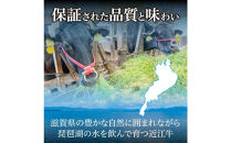 特選A5近江牛大判霜降り焼きしゃぶ用800g