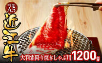 特選A5近江牛大判霜降り焼きしゃぶ用1200g