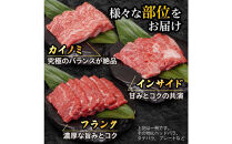近江牛焼肉用800g