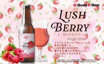 クラフトビール　ベリー+キウイ+柚子胡椒の飲み比べセット（330ml×3本）