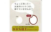 食べる米ぬかパウダー　ぬかだけん　50g&nbsp;6袋セット