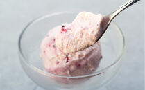 【夏ギフトにも！】クラフトアイスクリーム&nbsp;HOLIDAY&nbsp;ICE&nbsp;CREAM&nbsp;STORE&nbsp;CLASSICS&nbsp;132ml×4個セット