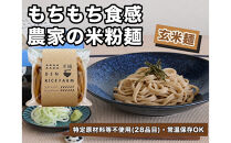 グルテンフリー&nbsp;無添加&nbsp;米麺&nbsp;120g&nbsp;&nbsp;10個セット（玄米麺10個）｜米粉&nbsp;うどん&nbsp;焼きそば&nbsp;パスタ&nbsp;麺