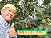 甘柿　太秋柿&nbsp;輝太郎柿&nbsp;詰合せ&nbsp;3L9個入2.3kg以上&nbsp;化粧箱入り【2026年10月15日頃より発送】