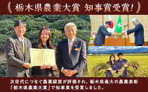 【スピード発送】【令和8年産】栃木県大田原産コシヒカリ&nbsp;白米&nbsp;10kg｜新米&nbsp;栃木県農業大賞&nbsp;知事賞&nbsp;受賞農家&nbsp;メディア出演多数&nbsp;五月女農場&nbsp;農家直送&nbsp;産地直送&nbsp;産直&nbsp;栃木県&nbsp;大田原市&nbsp;こしひかり