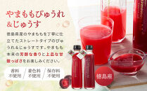 &nbsp;徳島フルーツジュレ&nbsp;3種（やまもも&nbsp;すだち&nbsp;ゆこう）（160g×各2個　計6個）&nbsp;やまももピューレ&nbsp;(220ｇ)&nbsp;やまももジュース&nbsp;(220g)のセット