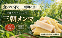 【数量限定&nbsp;予約10月30日まで】【クール便】｜食べて守る三朝町の里山&nbsp;手づくり「三朝メンマ」100g×2袋［添加物不使用］