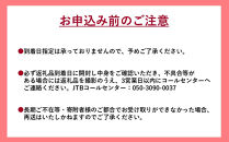 【数量限定&nbsp;予約10月30日まで】【クール便】｜食べて守る三朝町の里山&nbsp;手づくり「三朝メンマ」100g×2袋［添加物不使用］