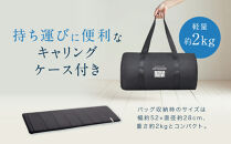 エアウィーヴ&nbsp;ポータブル&nbsp;mini&nbsp;マットレス&nbsp;高反発&nbsp;アウトドア