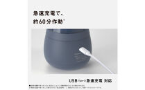 パナソニック&nbsp;毛玉クリーナー　NI-LC300-A　ネイビー　