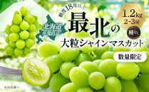 【先行予約】最北のシャインマスカット&nbsp;1.2kg(2~3房)(2026年10月中旬発送開始予定)_06538