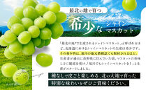 【先行予約】最北のシャインマスカット&nbsp;1.2kg(2~3房)(2026年10月中旬発送開始予定)_06538