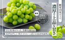 【先行予約】最北のシャインマスカット&nbsp;1.2kg(2~3房)(2026年10月中旬発送開始予定)_06538