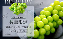 【先行予約】最北のシャインマスカット&nbsp;1.2kg(2~3房)(2026年10月中旬発送開始予定)_06538