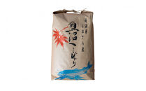【令和8年産新米予約】南魚沼産　塩沢コシヒカリ「だすけ米」&nbsp;精米10kg【銘柄米&nbsp;ブランド米&nbsp;精米&nbsp;こしひかり&nbsp;コシヒカリ&nbsp;魚沼産&nbsp;新潟米&nbsp;産地直送&nbsp;お米&nbsp;米&nbsp;こめ&nbsp;コメ&nbsp;ご飯&nbsp;御飯&nbsp;ごはん】