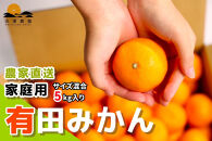 有田みかん&nbsp;ご家庭用&nbsp;5kg&nbsp;S～2Lサイズ混合