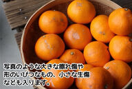 有田みかん&nbsp;ご家庭用&nbsp;5kg&nbsp;S～2Lサイズ混合