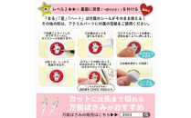 【5769】はじこで楽しく作るおはじきシール手作りキット